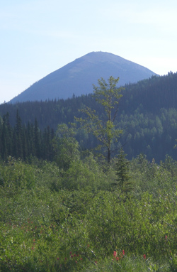 Sugarloaf Mountain